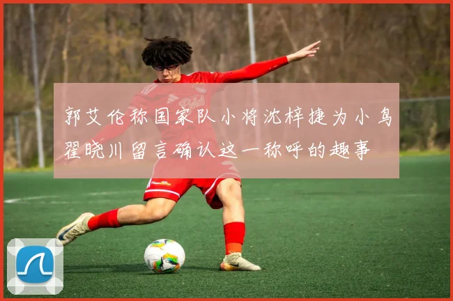 郭艾伦称国家队小将沈梓捷为小鸟翟晓川留言确认这一称呼的趣事