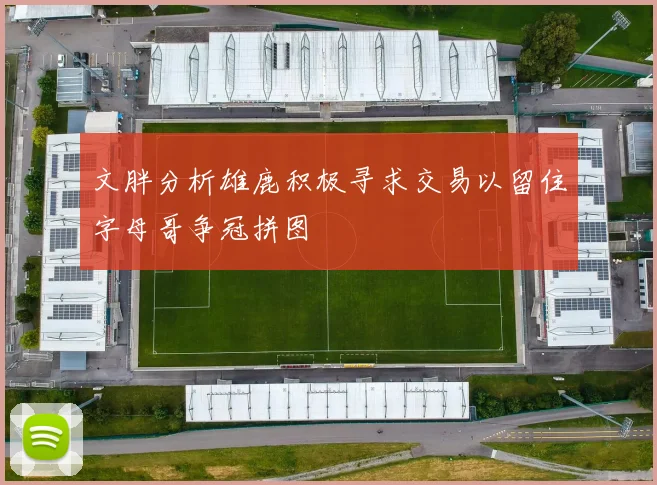 文胖分析雄鹿积极寻求交易以留住字母哥争冠拼图