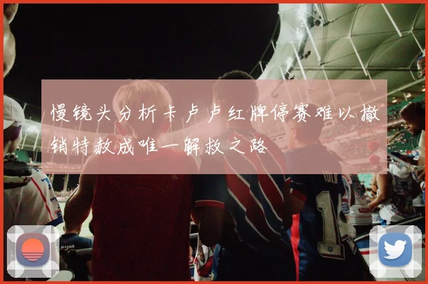 慢镜头分析卡卢卢红牌停赛难以撤销特赦成唯一解救之路