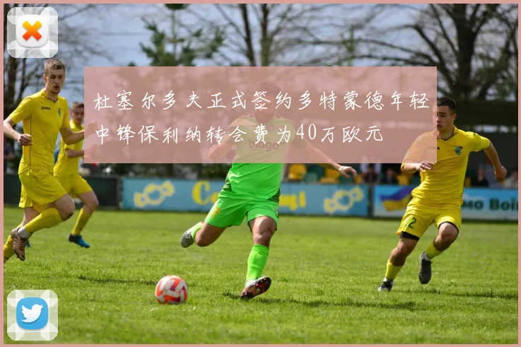 杜塞尔多夫正式签约多特蒙德年轻中锋保利纳转会费为40万欧元