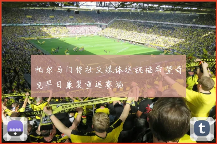 帕尔马门将社交媒体送祝福希望奇克早日康复重返赛场
