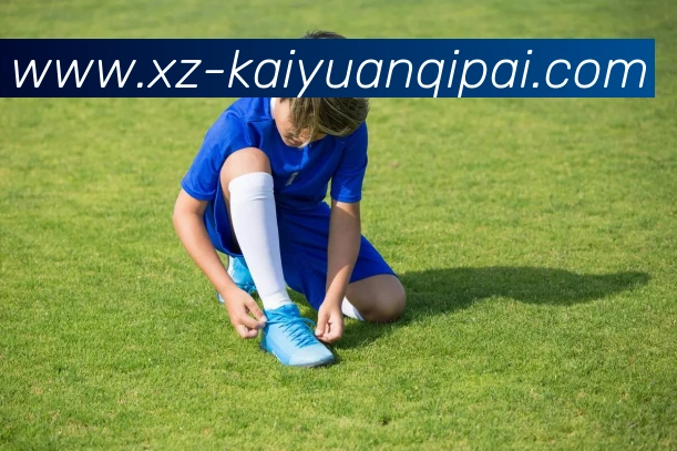 开元体育APP 高清赛事图